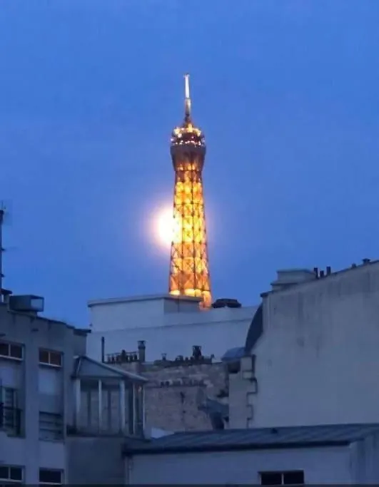 Vue Tour Eiffel - Calme & Chic location